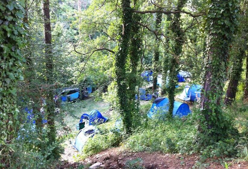 هتل Camping Puigcercós