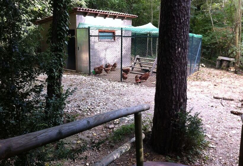 هتل Camping Puigcercós