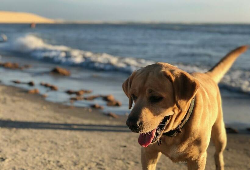 בית מלון כפרי Mym Jericoacoara