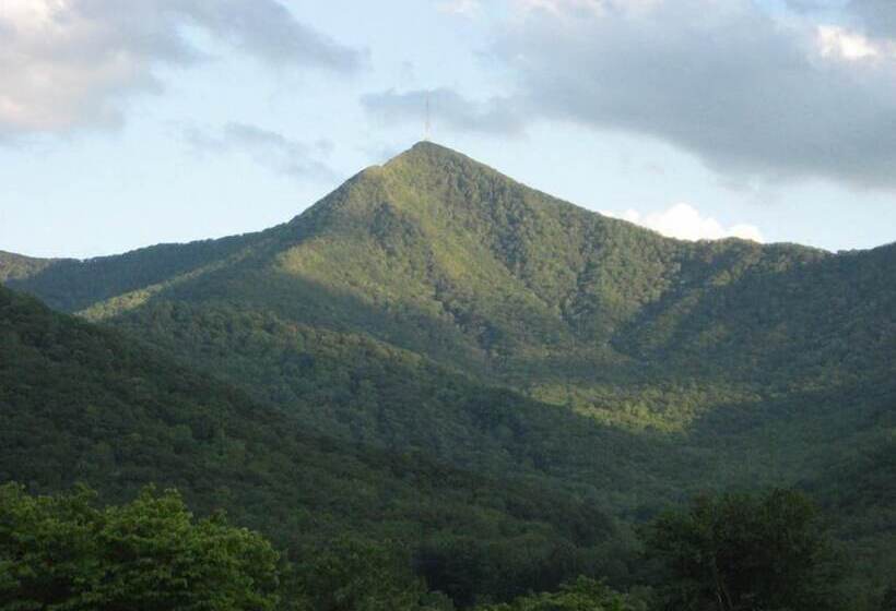 田舎風ホテル Pisgah View Ranch