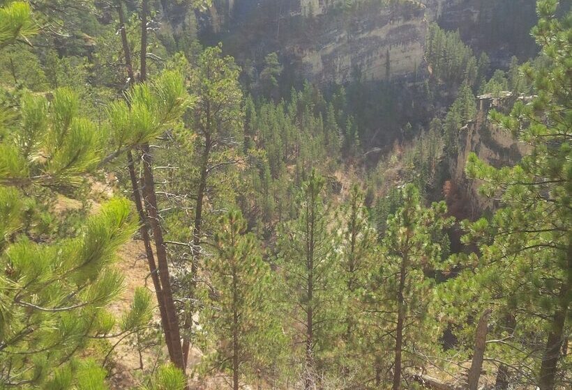 فندق Rush No More Rv Resort And Cabins   Campground