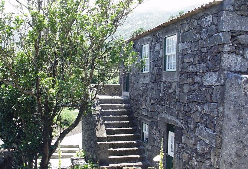 Houses In Pico