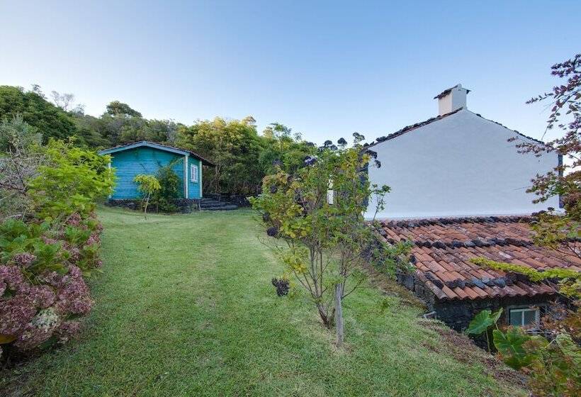 Houses In Pico