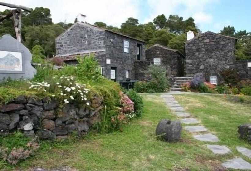 Houses In Pico