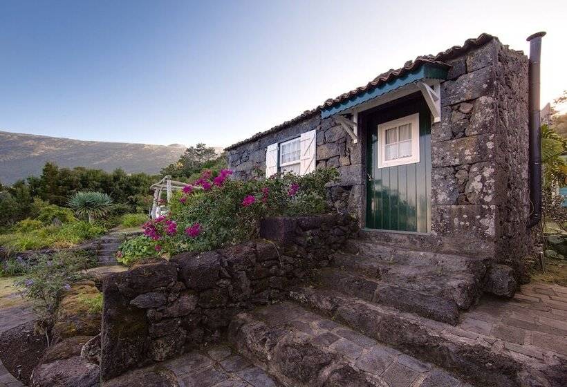 Houses In Pico