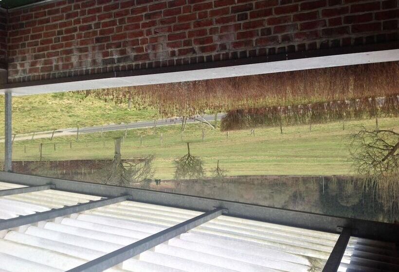 리조트 Ferienpark Rursee