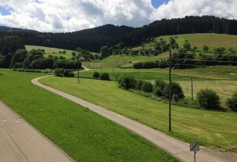 Bed and Breakfast Gasthof Richebächli