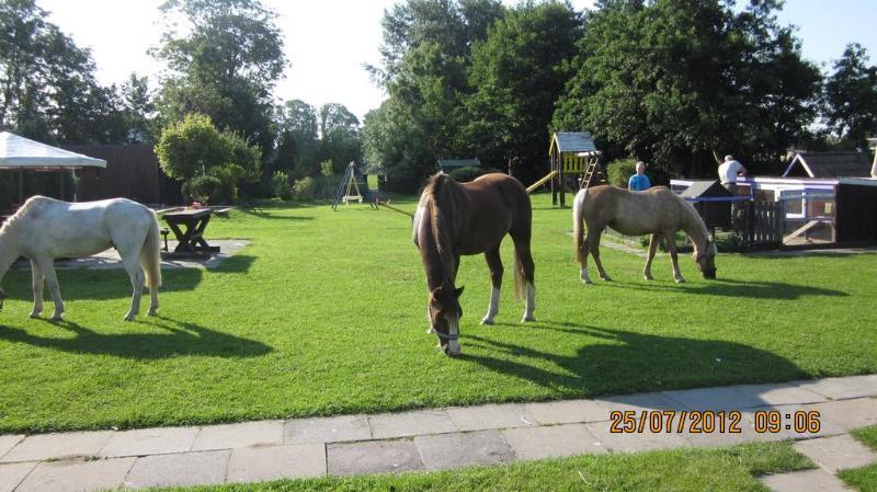 Familien  & Aparthotel Strandhof