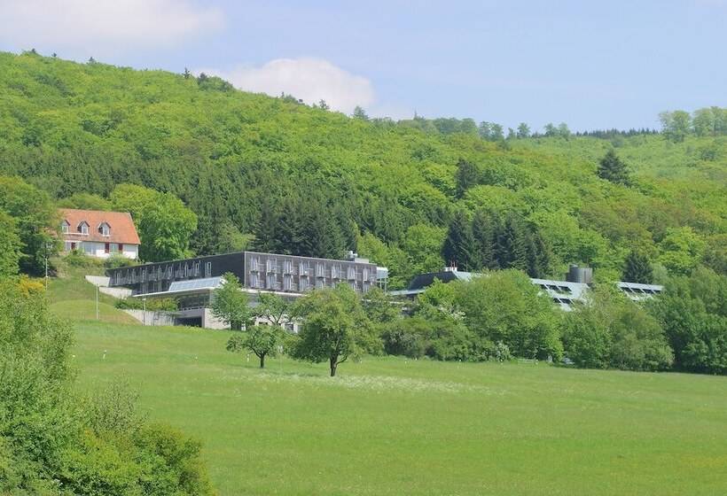 Отель Collegium Glashütten