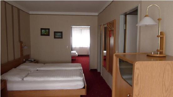 בית מלון כפרי Domino