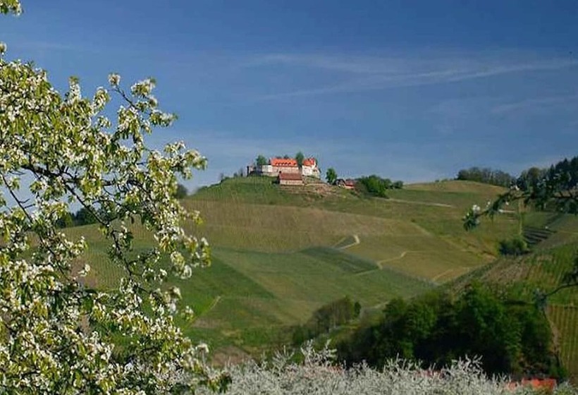 Hotel Gasthaus Hohberg