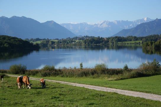 هتل Klausenhof Am Park