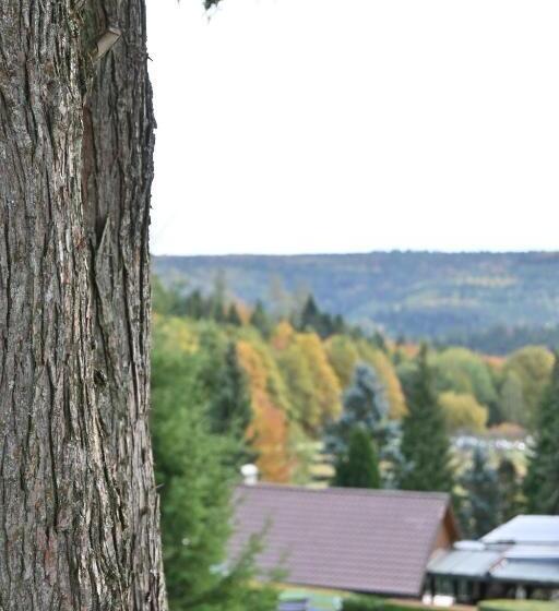 Отель Talblick