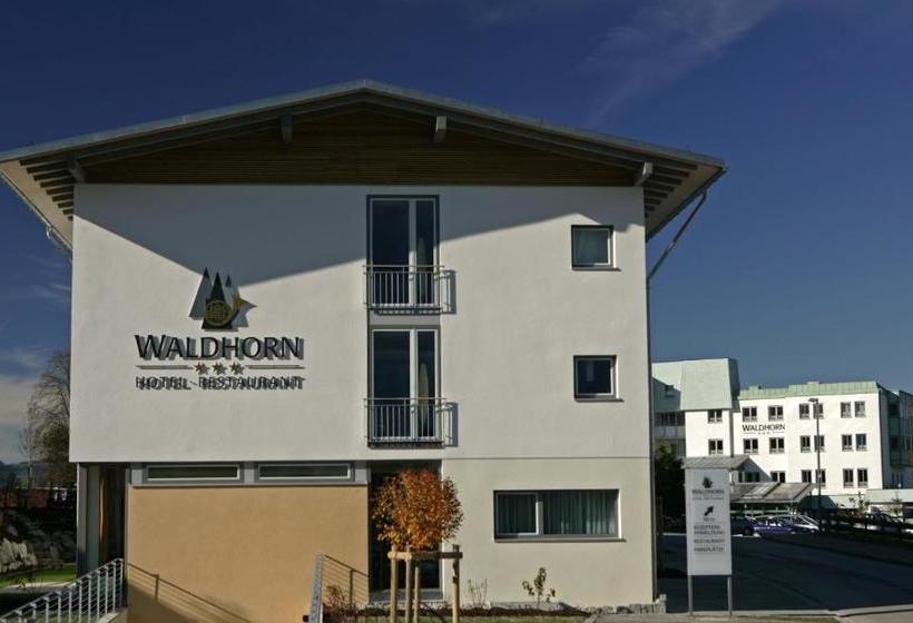 هتل Waldhorn