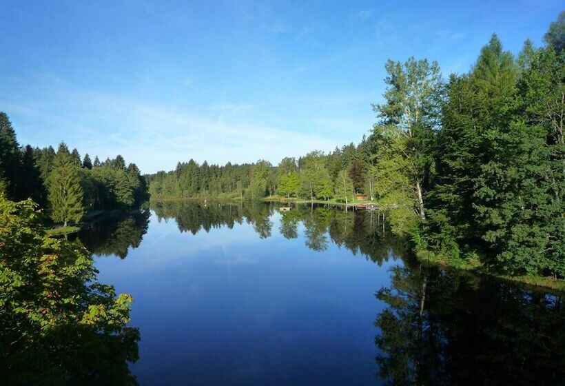 Отель Waldsee