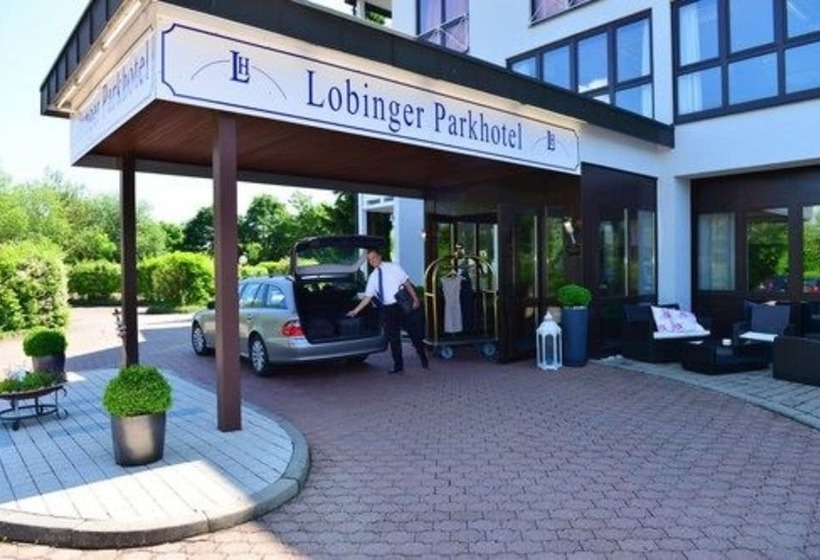 Отель Lobinger Park