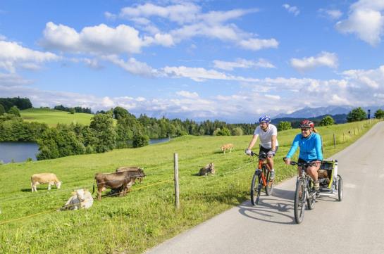 Отель Zum Goldenen Schwanen