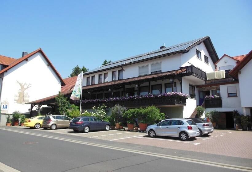 Отель & Restaurant Zum Ochsen  Ox Distillery