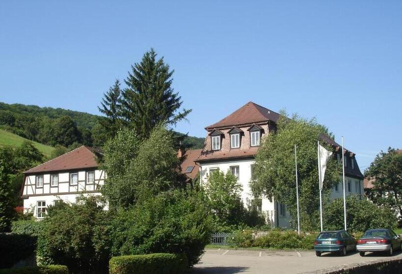 Отель Schloss Döttingen