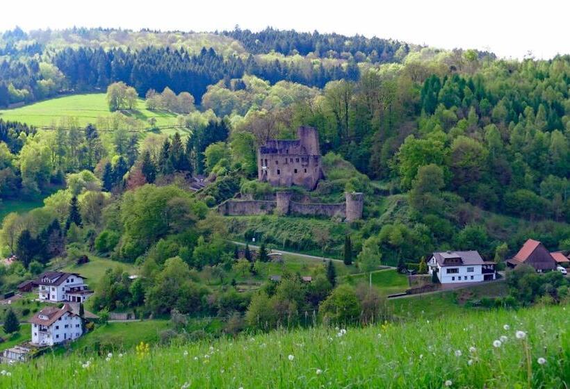 Pensión Grüner Baum Mit Restaurant & Wellness