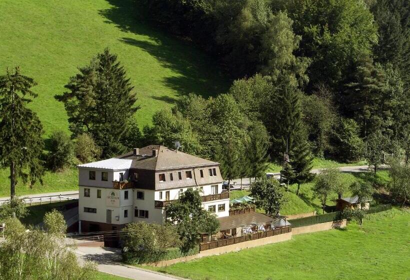 پانسیون Grüner Baum Mit Restaurant & Wellness