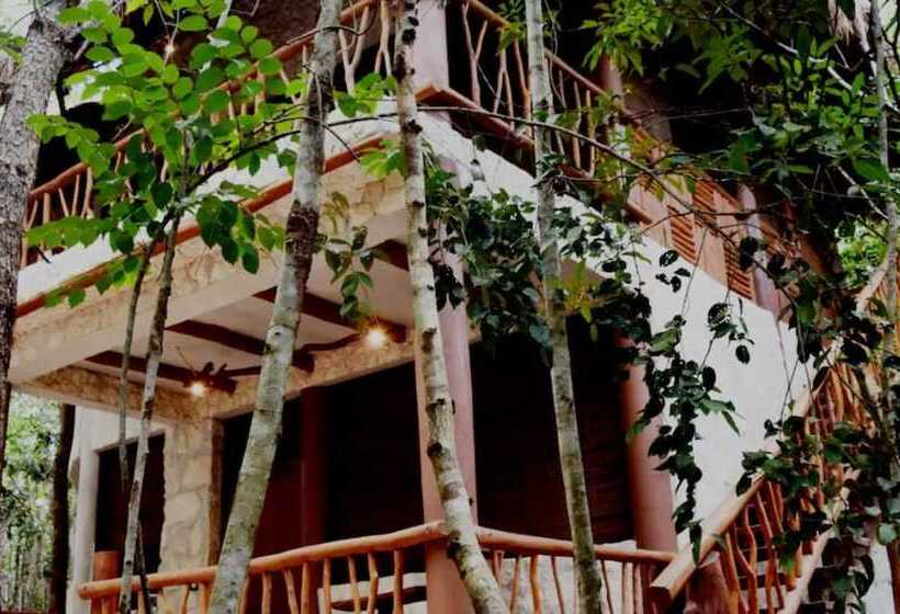 هتل Aldea Mayaha Cabanas Con Cenotes