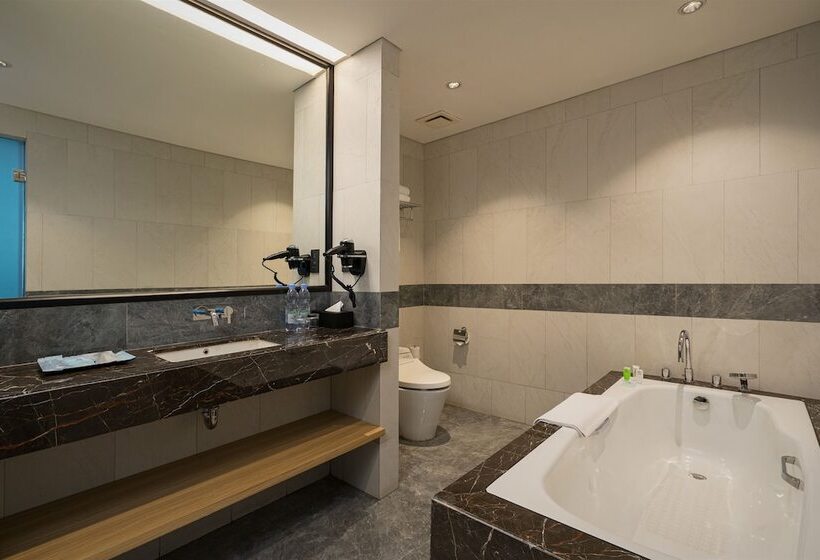 هتل Anara Airport