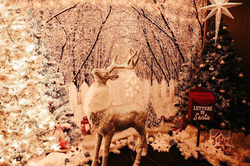 Fotos del hotel Indigo New York Downtown - Wall Street:  23