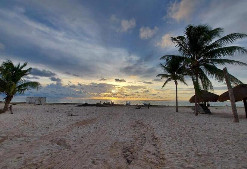 هتل Cabañas Puerto Morelos