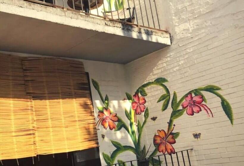 هتل Canova Hostel & Pizza