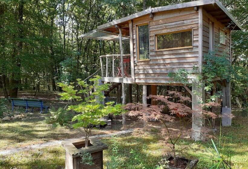 住宿加早餐  La Cabane De L Oiseau