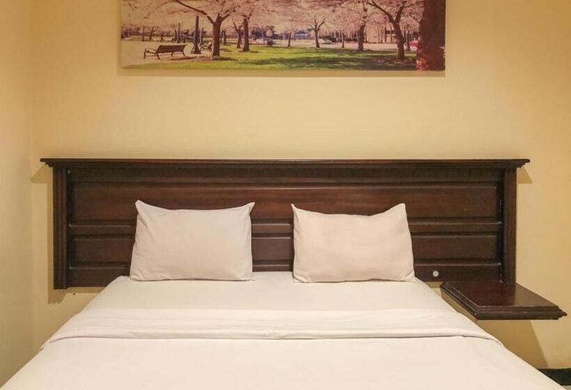 هتل D Mario Palopo