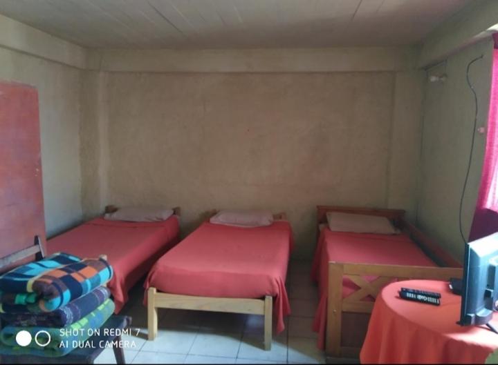 פנסיון Hospedaje San Carlos