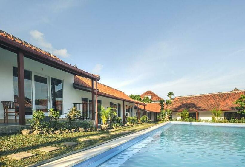 Pensão Nami Surf Stay