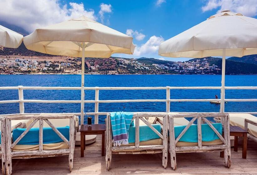 تختخواب و صبحانه Kalkan Asfiya
