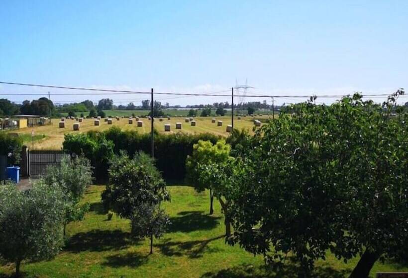 هاستل Eco House San Michele