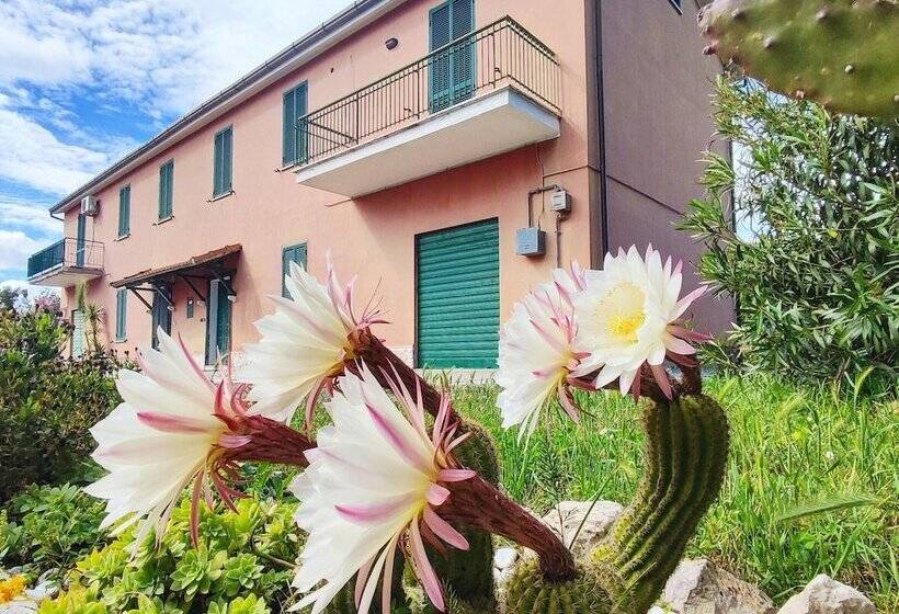 هاستل Eco House San Michele