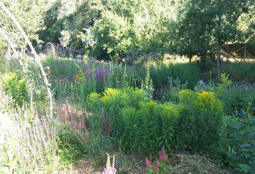 צימר De Geheime Tuin   Huisje In  T Groen