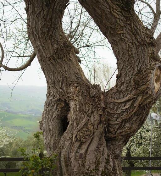 צימר ​la Quercia Del Cavaliere Agriturismo Tim