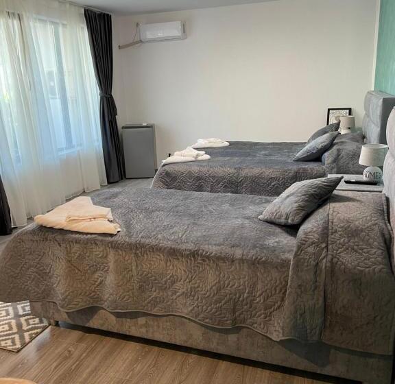 Пансион Casa Paraschiva