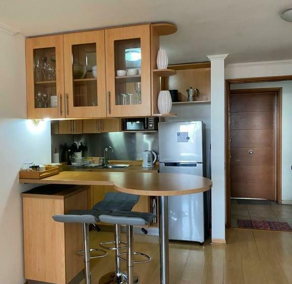 Departamento Dos Ambientes Providencia