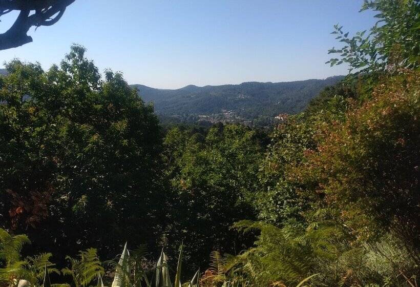 פנסיון Les Jardins D Arbousse