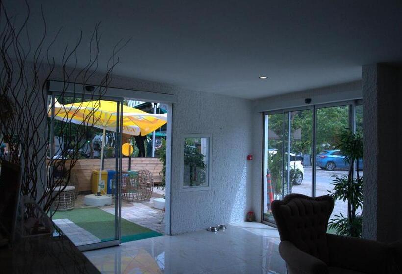 تختخواب و صبحانه Collesium Garden