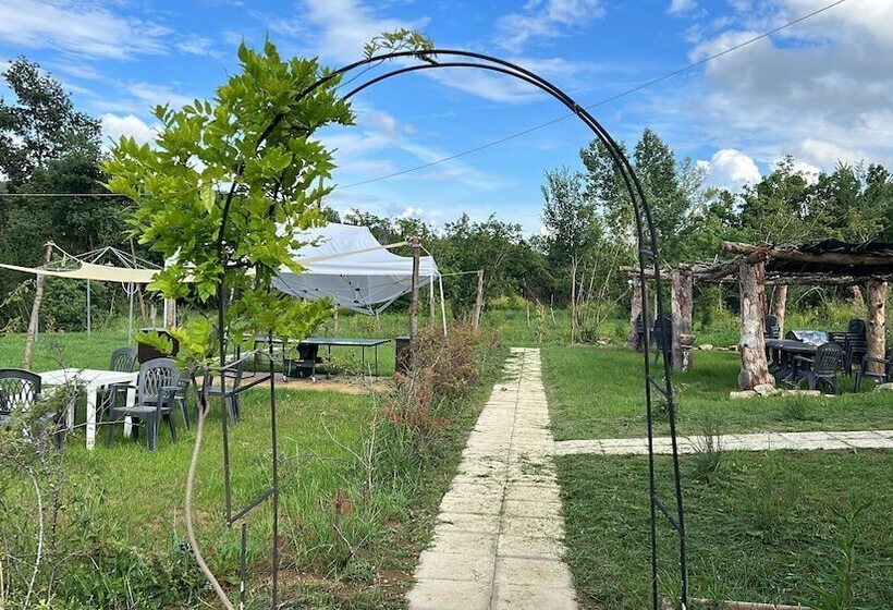 בית מלון כפרי Agriturismo La Palma Sambuca Val Di Pesa