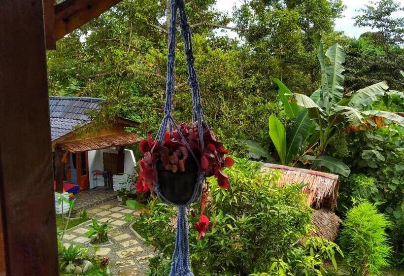 پانسیون Sumatra Orangutan Discovery Villa