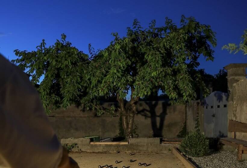 تختخواب و صبحانه Le 37 Malaucene
