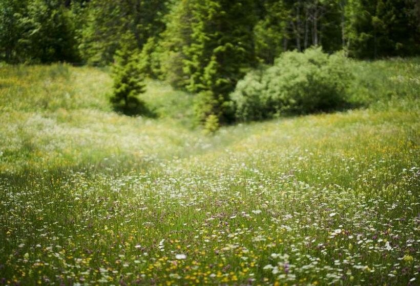 호스텔 Stubn In Der Frasdorfer Hütte