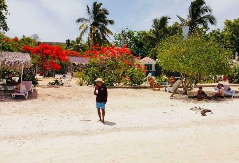 Bluemare Ecohotel Frente A La Playa Ensendada