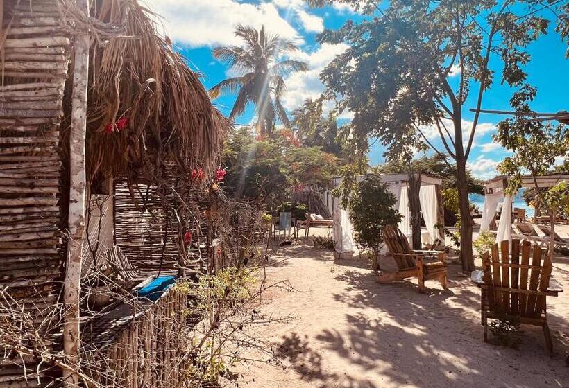 Bluemare Ecohotel Frente A La Playa Ensendada