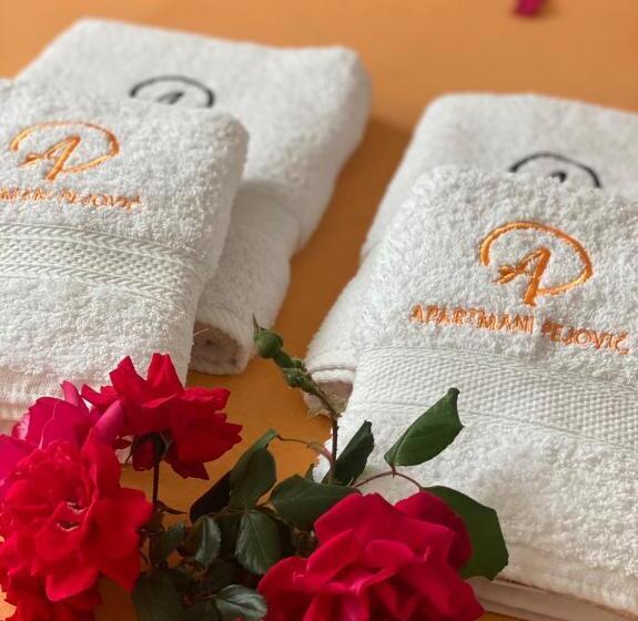 پانسیون Apartmani Pejovic Sutomore